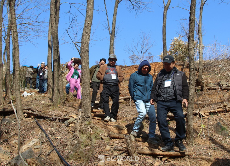 소풍장소로 이동 중인 관광객들. 사진=손진석 기자
