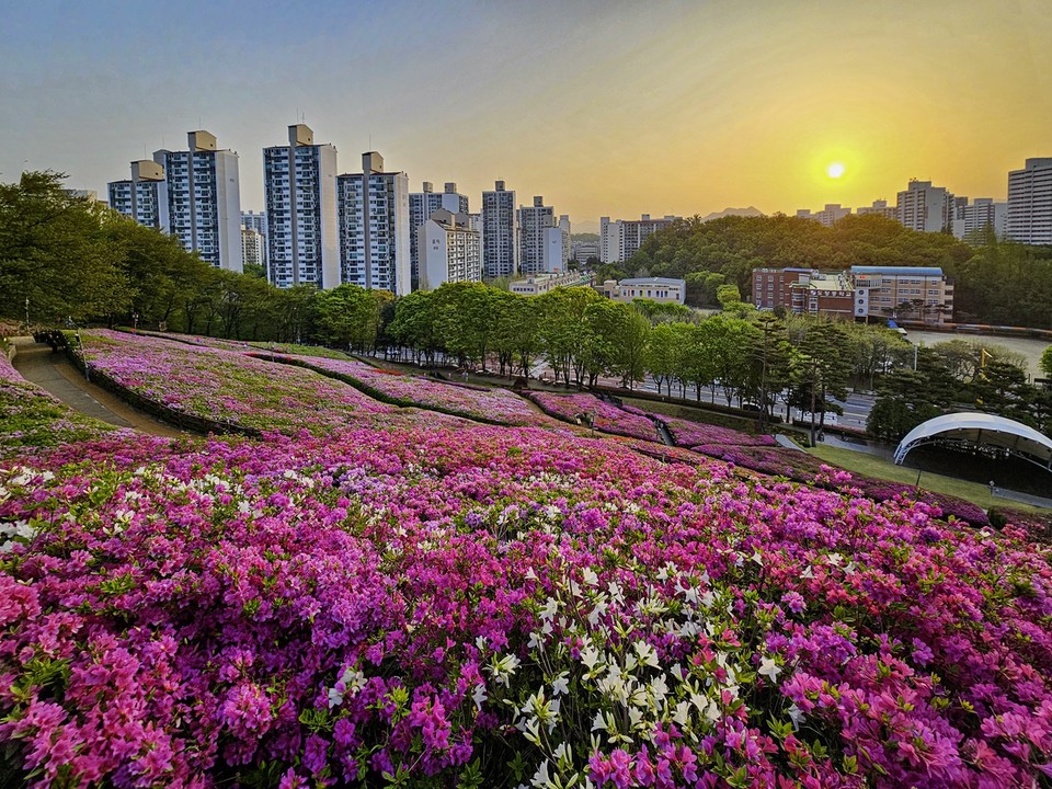 사진=군포문화재단