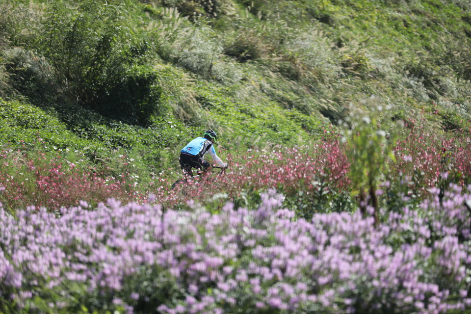 안양천 봄 라이딩 모습. 사진=서울관광재단
