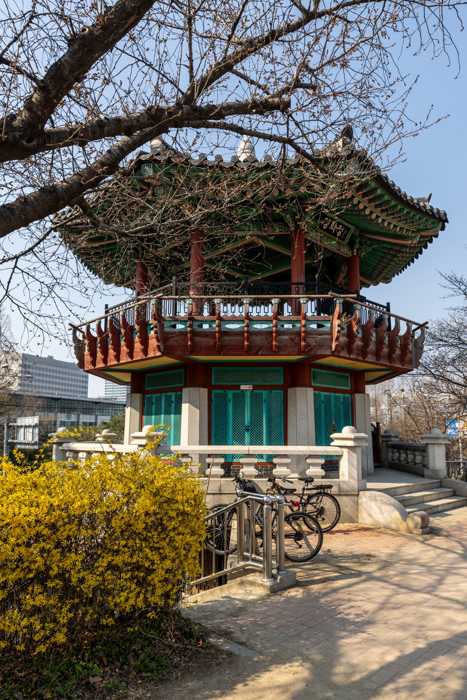 영학정 앞에 핀 개나리. 사진=서울관광재단