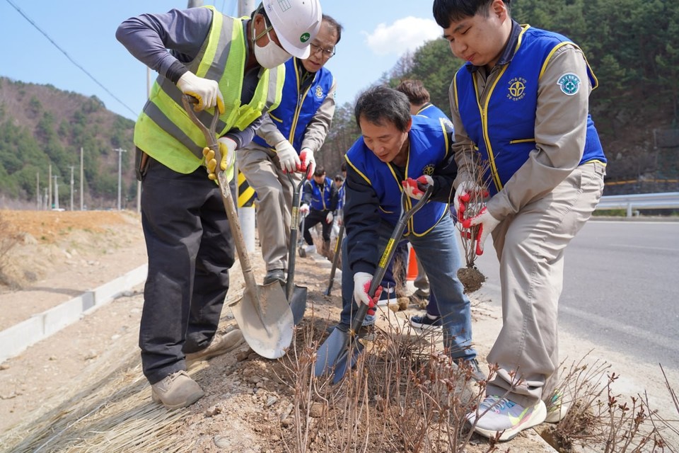 지난 2일 오후 경북 봉화군 석포면 일대에서 영풍 석포제련소 및 석포면사무소 임직원들이 꽃나무를 심고 있다. 사진=영풍 석포제련소