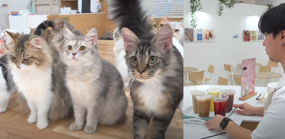 캡슐커피 전문 브랜드 ‘마이그랑(MYGRANG)’이 대용량 커피와 음료 캡슐 시장 확대를 위한 생산 설비 확장을 최근 완료했다고 밝혔다. 사진=마이그랑