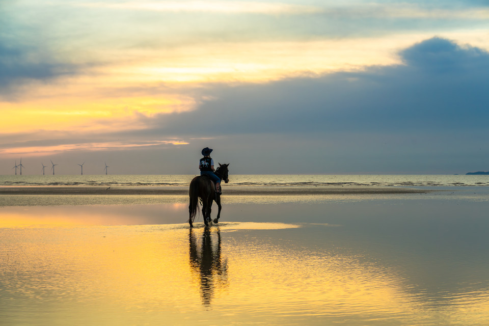 외승 승마 프로그램 중 썰물 후 바닷물이 남아 있는 구역까지 들어가 볼 수 있다. 사진=한국관광공사