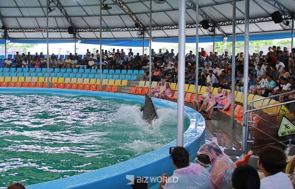 돌고래 쇼 공연전 돌고래가 수조를 돌면서 시선을 집중시키고 있다. 사진=손진석 기자
