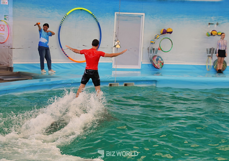 조련사가 돌고래를 타고 물 위를 이동하고 있다. 사진=손진석 기자