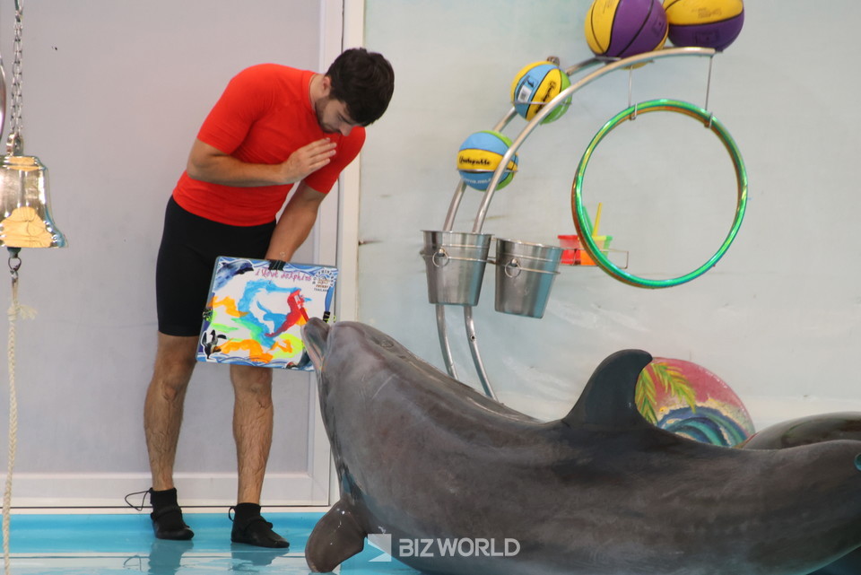 돌고래가 그림을 그리고 있다. 완성한 그림은 경매를 통해 판매한다. 사진=손진석 기자