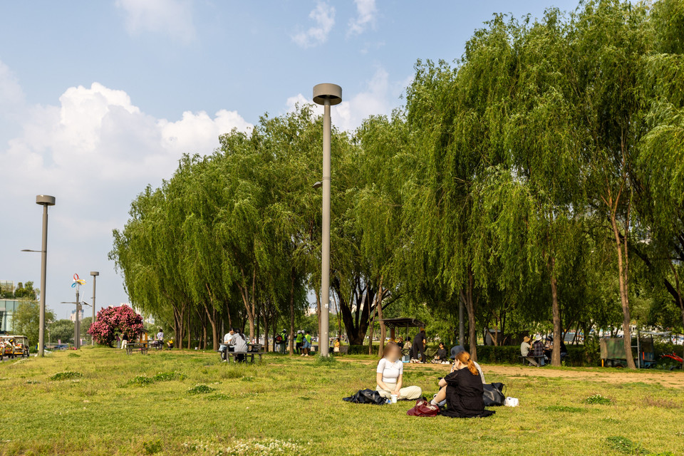 시민들이 서래섬에서 피크닉을 즐기고 있다. 사진=서울관광재단