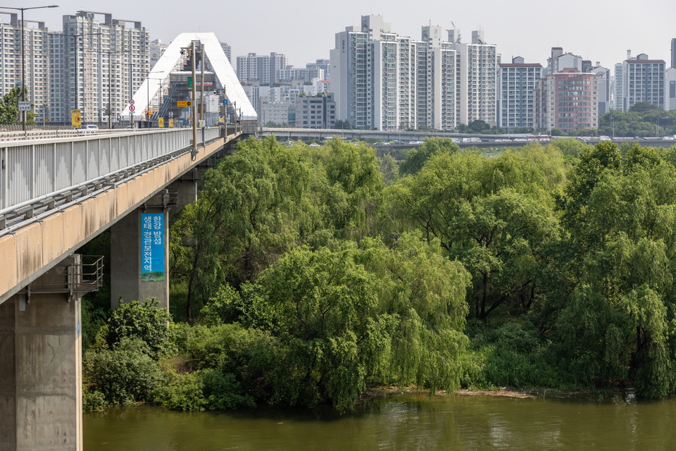 서강대교에서 본 밤섬 전경. 사진=서울관광재단