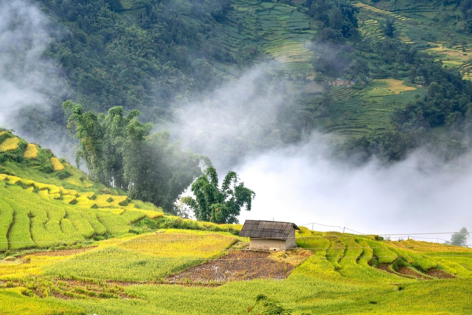 베트남 사파 깟깟마을 계단식 논. 사진=하나투어