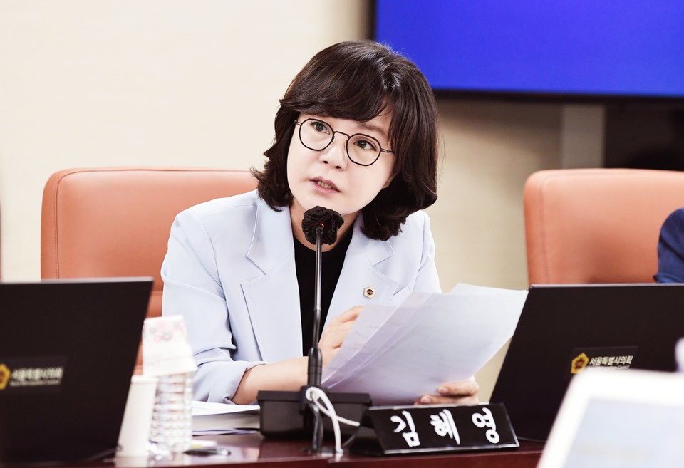 김혜영 서울시의원. 사진=서울시의회