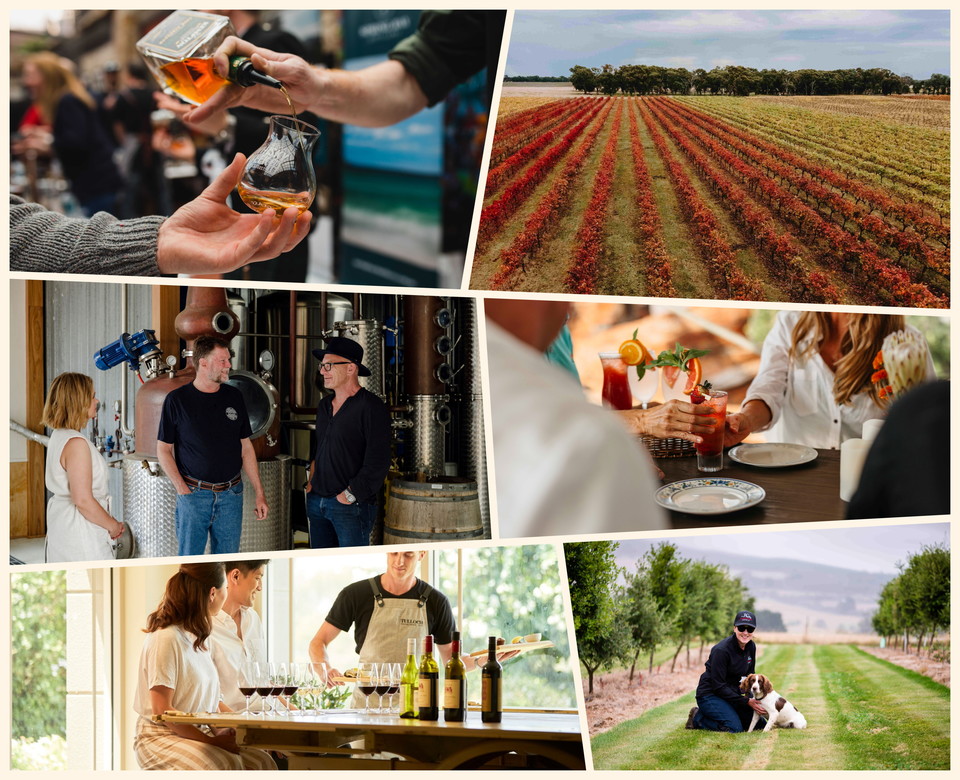 호주관광청이 추천하는 와인부터 위스키까지 마시는 여행지. 사진=호주관광청