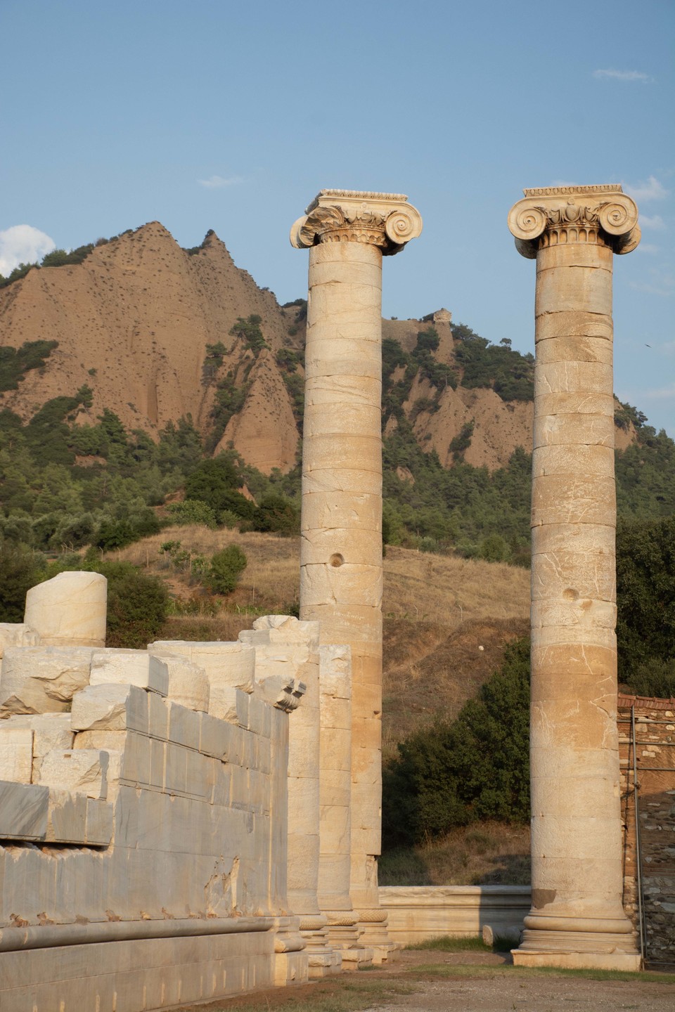 사르디스에 남아 있는 고대 아르테미스 신전의 이오니아식 기둥. 사진=튀르키예 문화관광부