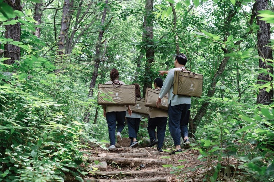 선마을 숲테라피. 사진=대웅제약