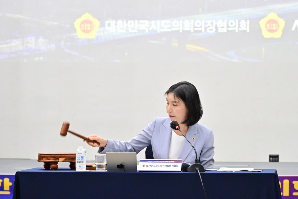 최호정 대한민국시도의회의장협의회 회장이 회의를 진행하고 있다. 사진=서울시의회