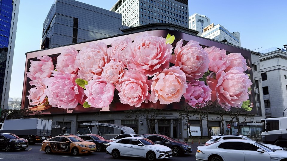 ‘음악가의 수트케이스’. 사진=신세계백화점