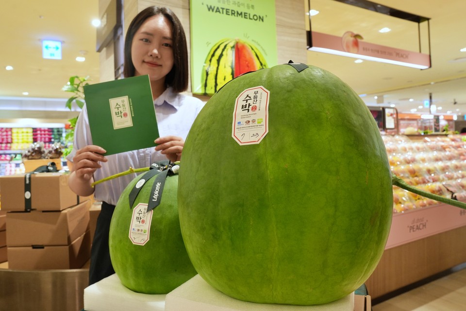 서울시 중구 소공동 본점 지하 1층 식품관에서 모델이 무등산 수박과 옆에서 포즈를 취하고 있다. 사진=롯데백화점