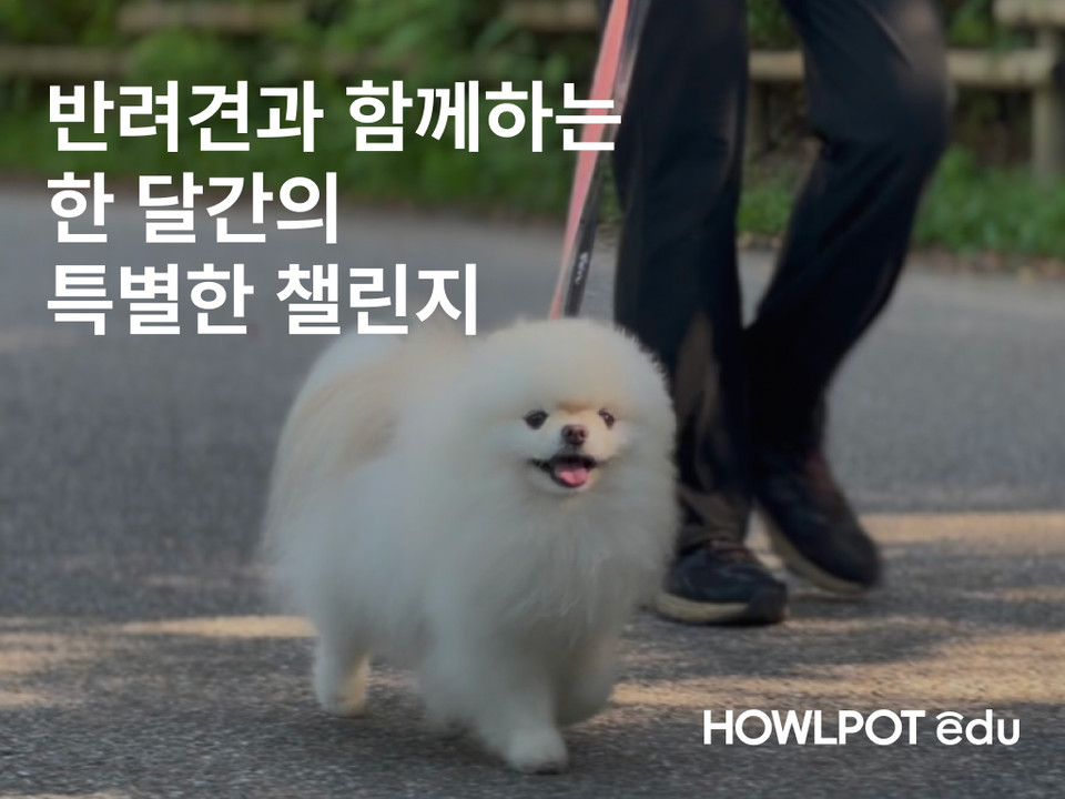 하울팟이 오는 9월 5일부터 30일까지 건강한 반려 문화 확산을 위한 ‘반려견과 함께하는 한 달 동안의 특별한 챌린지’를 전개한다. 사진=대교그룹