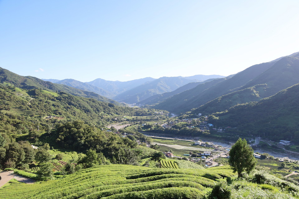 화개면 일대 전경. 사진=한국관광공사