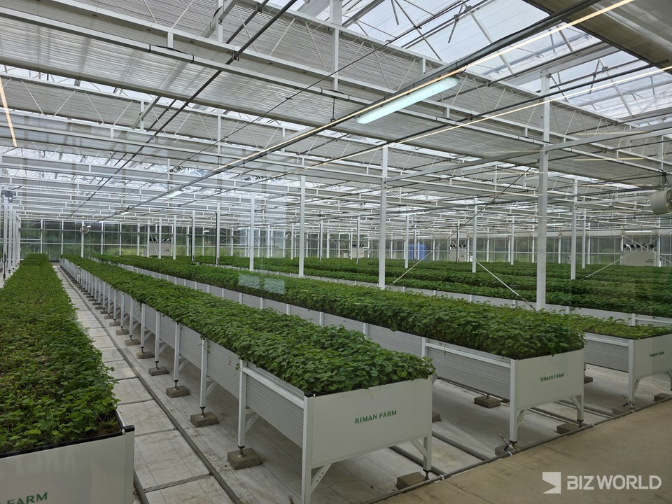 리만코리아의 스마트팜 '리만팜' 전경. 사진=이효정 기자