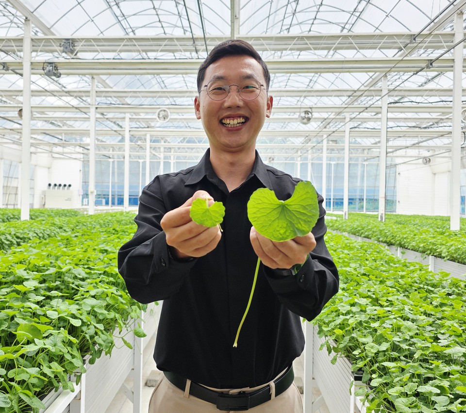 자이언트 병풀을 설명하고 있는 김정환 책임연구원 겸 차장. 사진=이효정 기자