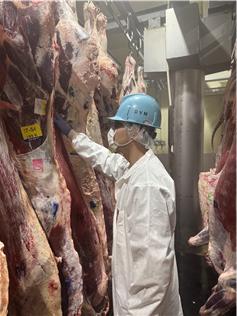 인천시 보건환경연구원은 추석 명절을 앞두고 육류 소비가 급증할 것으로 예상됨에 따라 도축장을 조기 개장하고 공휴일에도 도축을 하는 등 위생적이고 원활한 축산물 공급을 위해 총력을 다할 것이라고 밝혔다. 참고사진=인천시 보건환경연구원