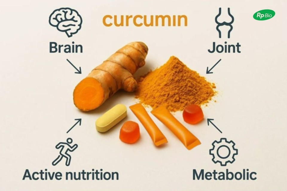 인지·관절·활력·대사 등 커큐민 관련 4대 소비자 축과 캡슐·정제·분말·젤리스틱·구미 제형 믹스. 사진=알피바이오