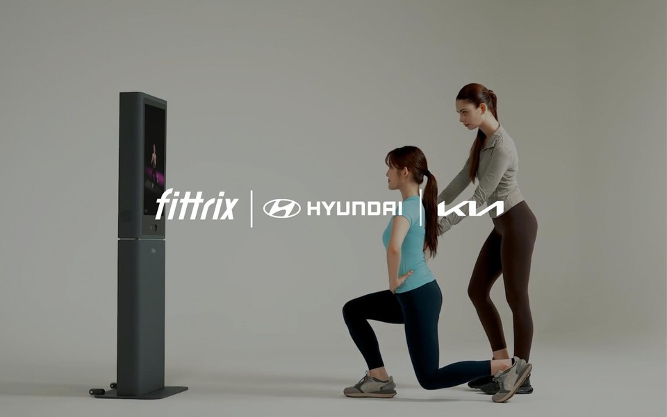 피트릭스는 현대자동차와 함께 구축한 공동 지식재산(IP) 장벽을 본격적으로 가동에 돌입했다고 9일 밝혔다. 사진=피트릭스