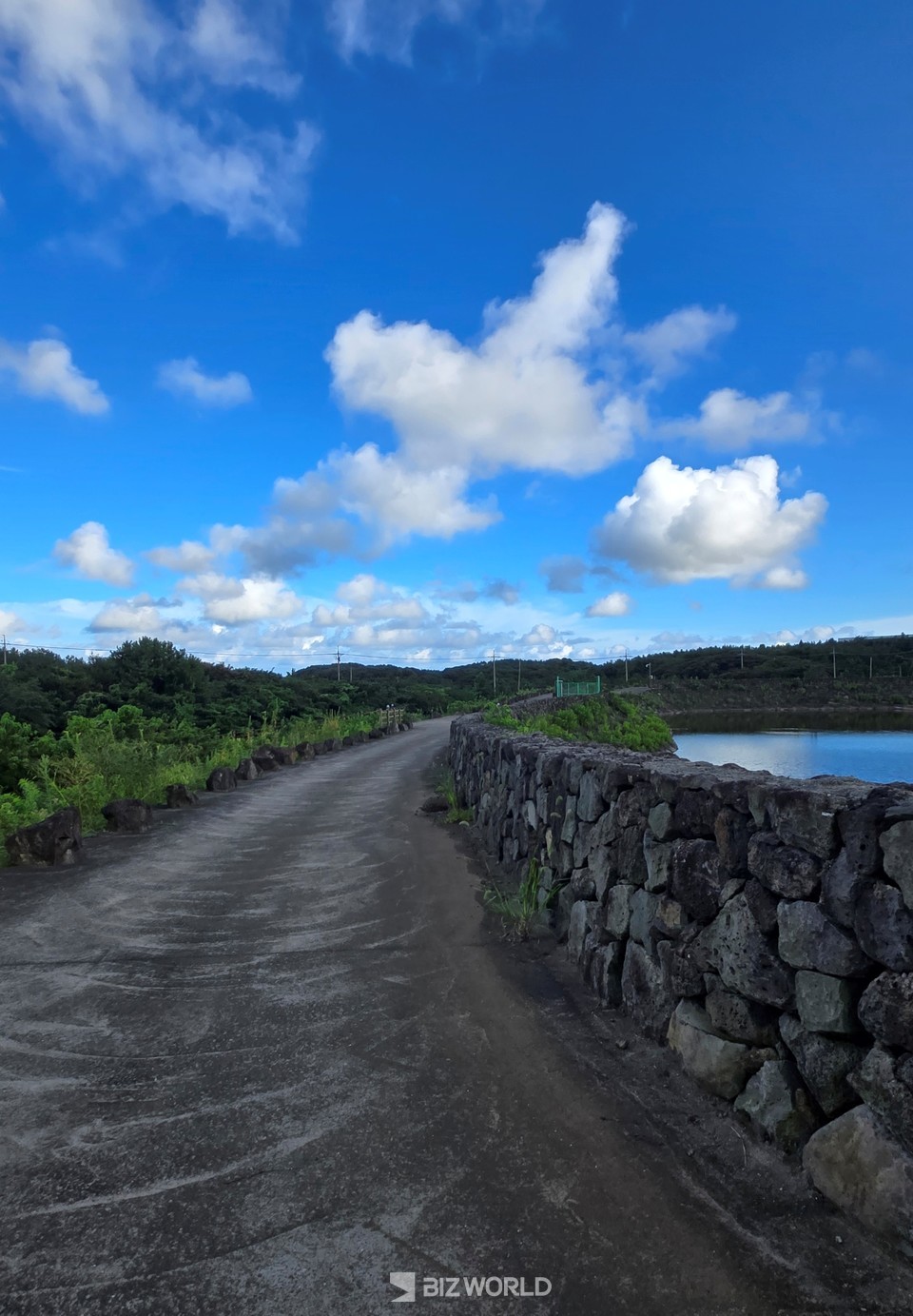 머체왓숲길 코스에서 만난 저류지의 돌담길. 제주=손진석 기자