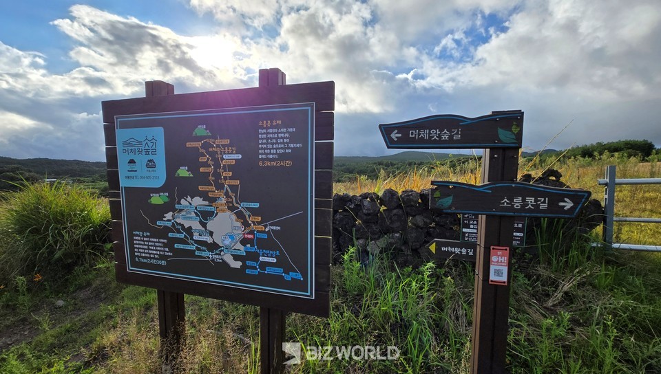 머체왓 숲길 시작점에 있는 표지판. 제주=손진석 기자