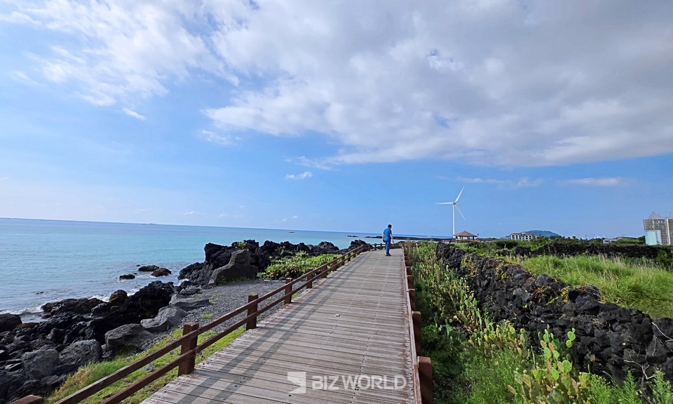 데크로 만들어진 산책로를 따라 자생 선인장 군락지가 형성되어 있다. 제주=손진석 기자