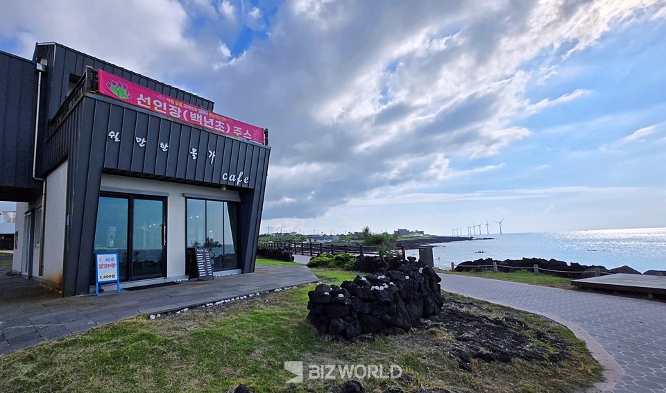 선인장 군락지 앞에 있는 카페에서 보리빵과 커피를 마시며 쉬어가도 좋다. 제주=손진석 기자