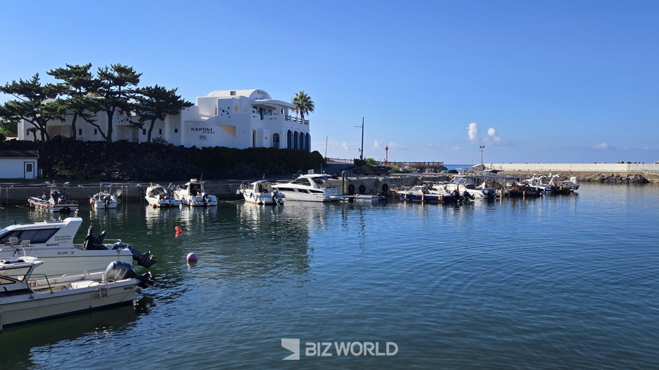 대평포구 전경. 제주=손진석 기자