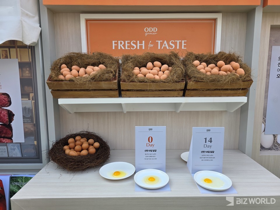 오드그로서 부스 내 체험존. 사진=이효정 기자