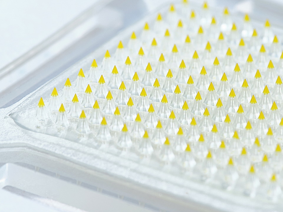 대웅테라퓨틱스가 개발한 마이크로니들 패치의 약물층을 시각적으로 표현하기 위해 색소를 첨가하고 4.2배 확대 촬영한 모습. 사진=대웅