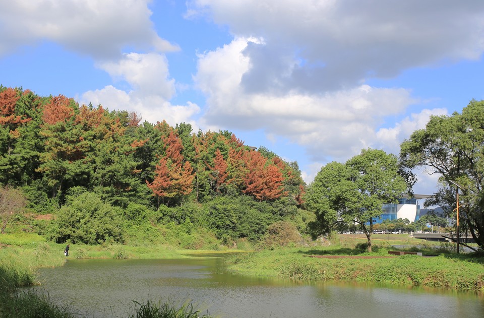 금장대습지공원 전경. 사진=한국관광공사