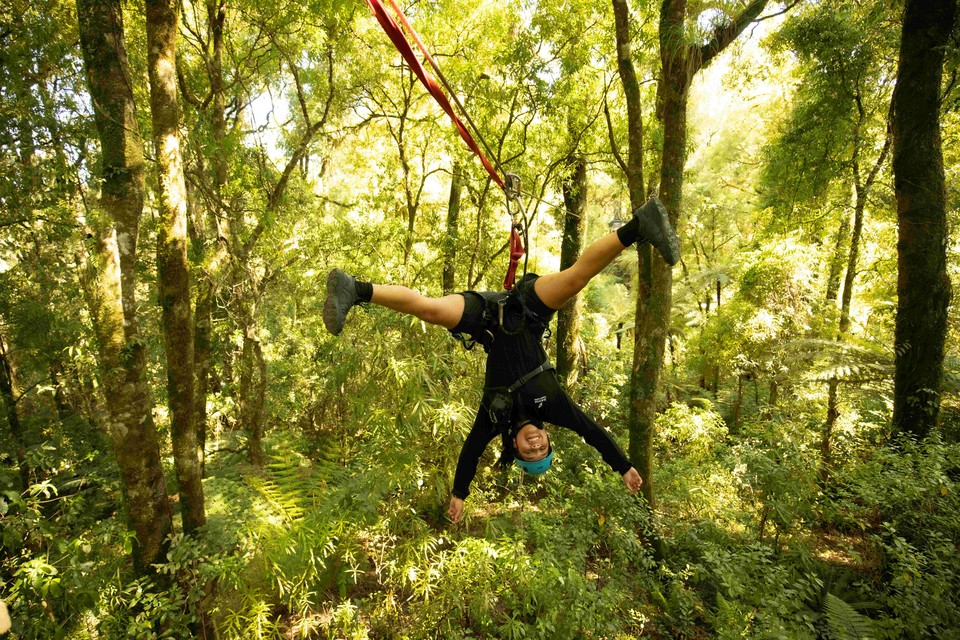 로토루아 캐노피 투어. 사진=GraemeMurray