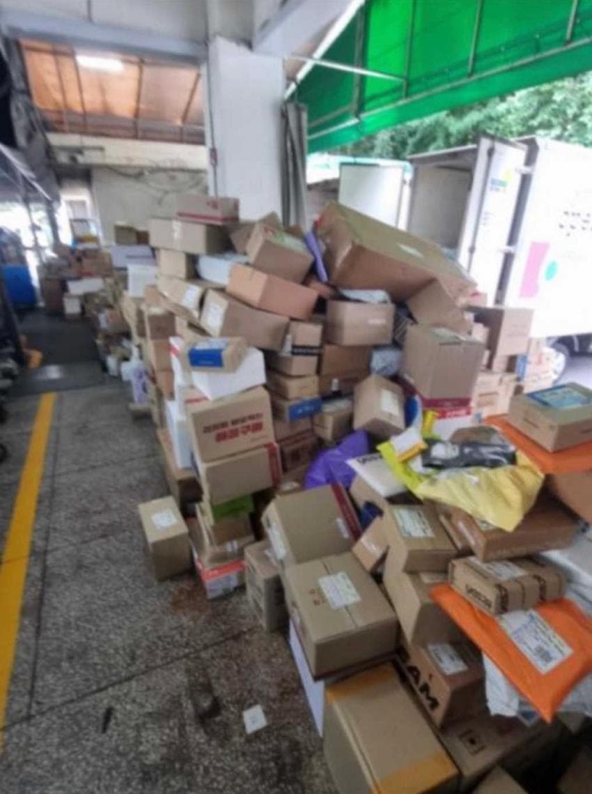 사진=디시인사이드 캡처