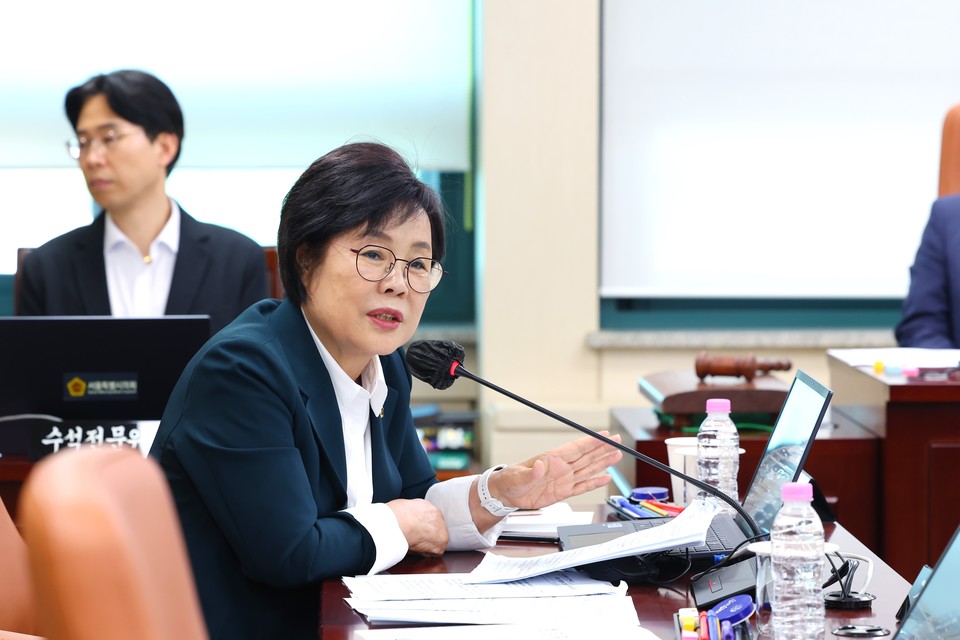 이경숙 서울시의원. 사진=서울시의회