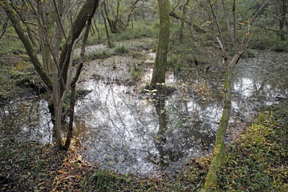 운곡람사르습지 오베이골습지. 사진=한국관광공사
