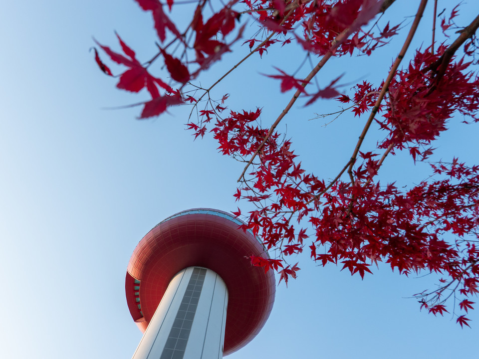사과 모양의 예당호전망대와 단풍이 어우러진 예당호의 가을 풍경. 사진=한국관광공사