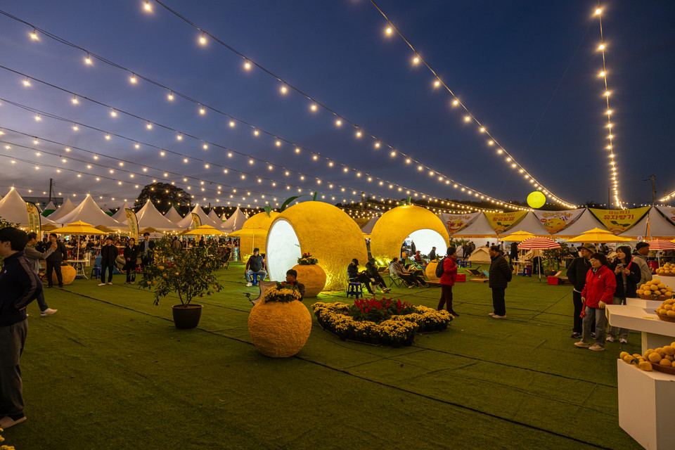 고흥유자축제 야경. 사진=고흥군