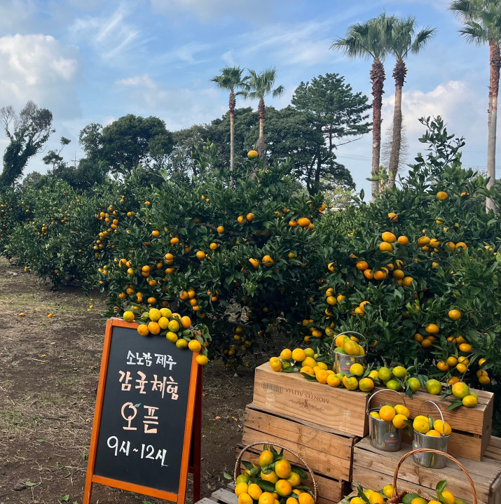 사진=대명소노그룹 소노인터내셔널