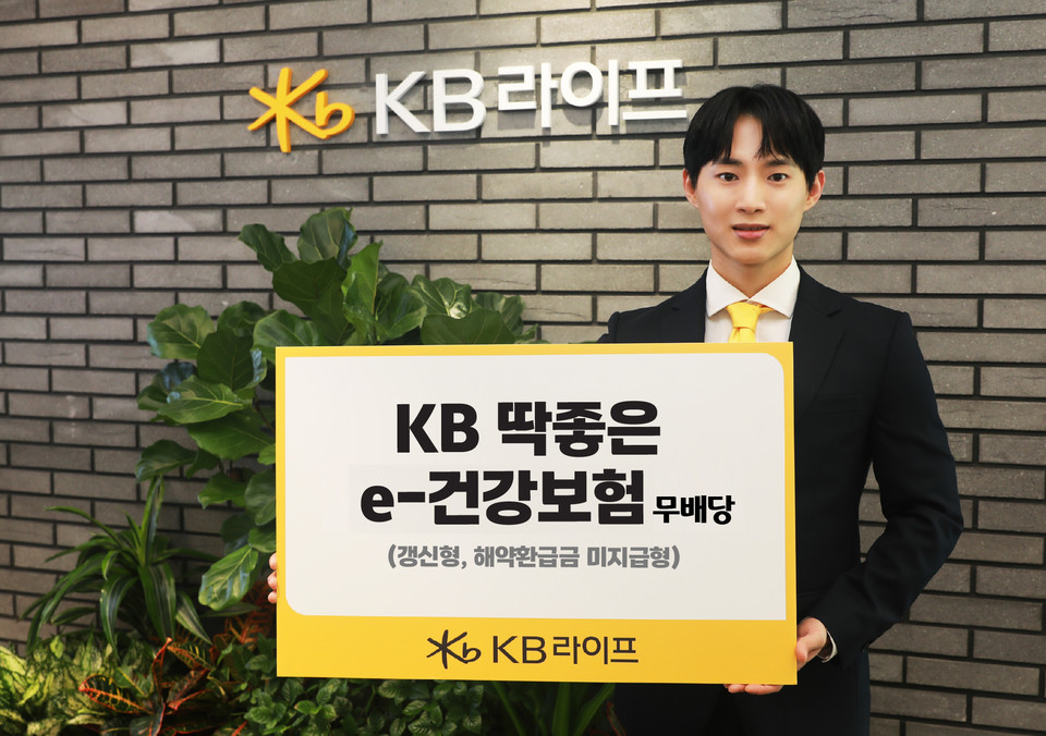  KB라이프는 고객이 온라인으로 간편하게 가입할 수 있는 'KB 딱 좋은 e-건강보험 무배당(갱신형)'을 출시했다고 13일 밝혔다. 사진=KB라이프