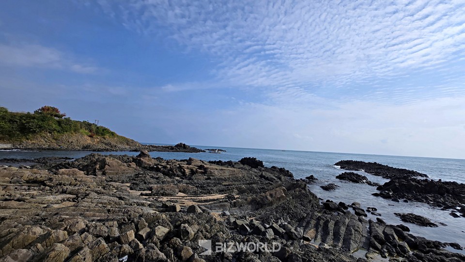 양남리 주상절리 탐방로에서 바라본 누워있는 주상절리. 사진=손진석 기자