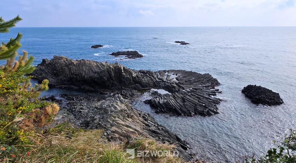 부채꼴 모양으로 형성되어 있는 경주 양남리 주상절리. 사진=손진석 기자