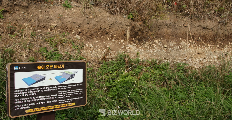 탐방로에 있는 솟아오른 바닷가지형. 사진=손진석 기자