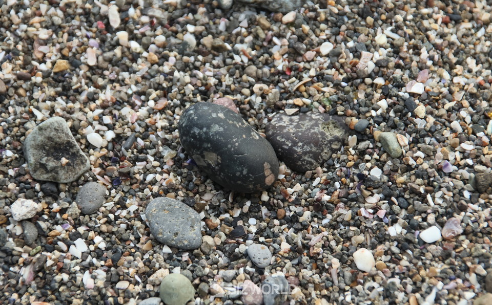 백색 응회암과 검붉은 현무암이 공존하는 힌디기 앞 모래사장의 흰색과 검붉은색의 작은 자갈과 모래. 사진=손진석 기자