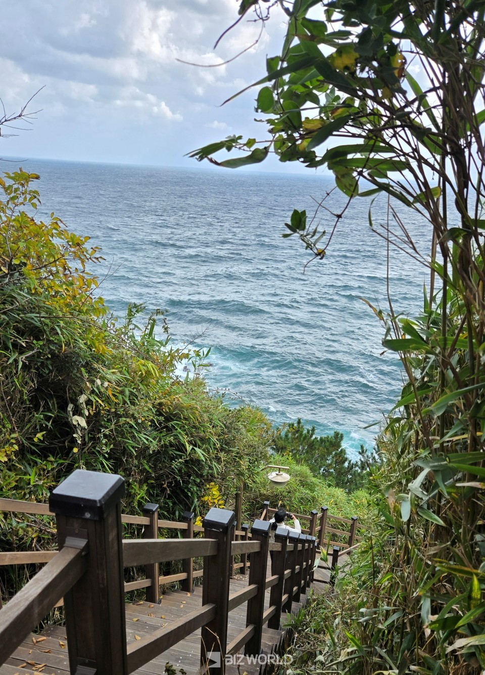 죽도산  탐방로는 경사가 제법 있어 쉬엄쉬엄 가면서 경치를 구경하면 좋다. 사진=손진석 기자