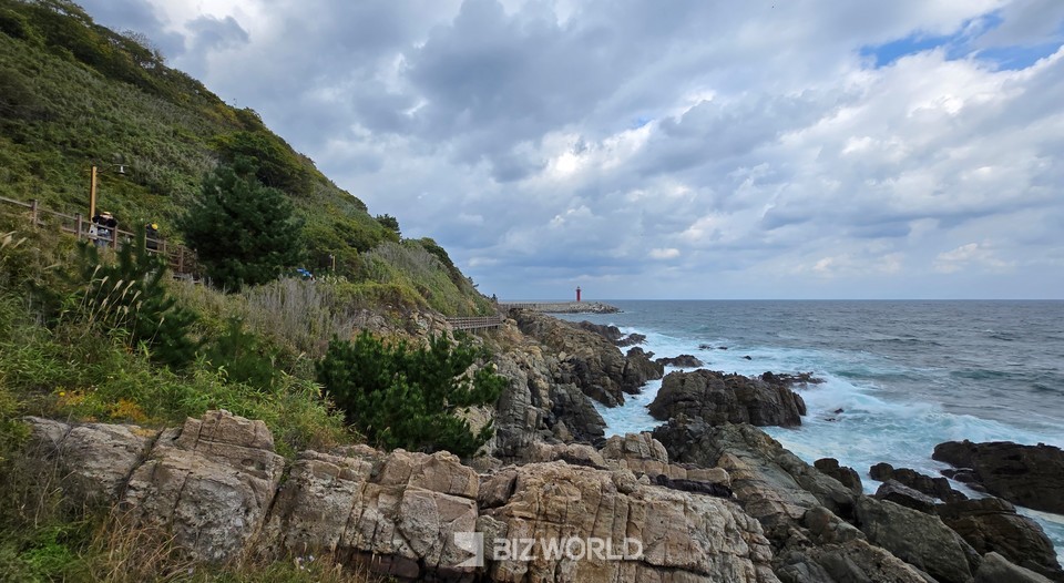 죽도산 탐방로에서는 다양한 퇴적 구조를 만날 수 있다. 사진=손진석 기자