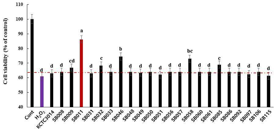 등록(등록번호 제10-2577640호) 특허 ‘바실러스 서틸리스 SB011 균주 또는 이를 이용한 콩 발효물을 유효성분으로 포함하는 근력강화, 근육증강, 근육분화, 근육재생 또는 근감소의 예방, 개선 또는 치료용 조성물’의 대표 도면.  해당 발명에서 분리한 22종의 균주들과 과산화수소를 동시에 근육세포에 처리하였을 때, 세포 생존율을 측정한 결과이다. 그림=키프리스